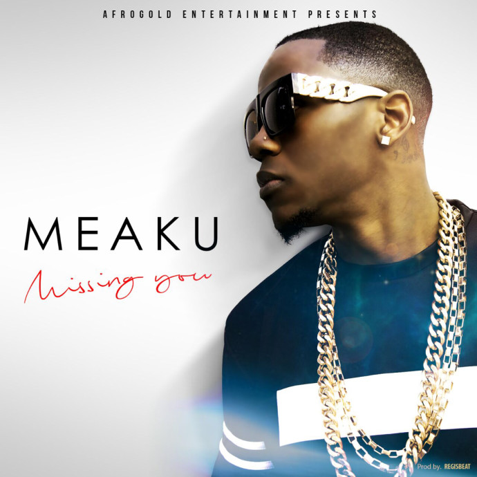 Meaku- Missing You (Artwork)