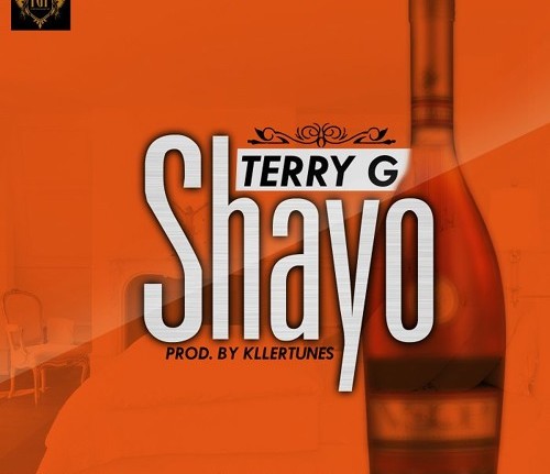 Terry-G-Shayo-500x431