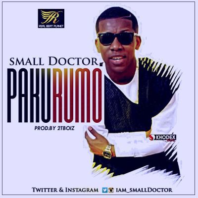 Audio:- Small Doctor - Pakurumo