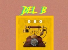 Del-B-080
