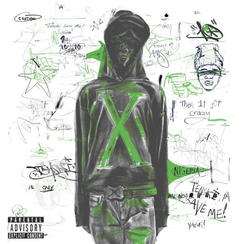 Zaylevelten - Then It Got Crazy